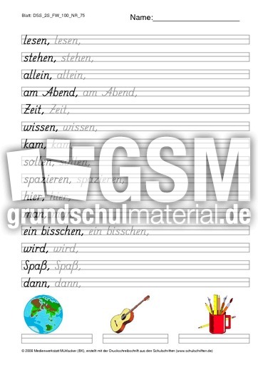DSS_2S_FW_100_NR_75.pdf